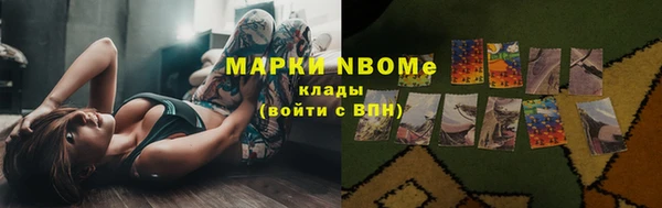 a pvp Алзамай