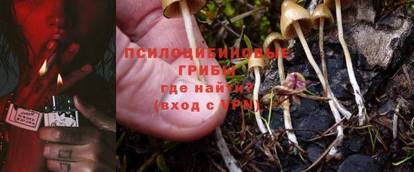 дмт Алексеевка
