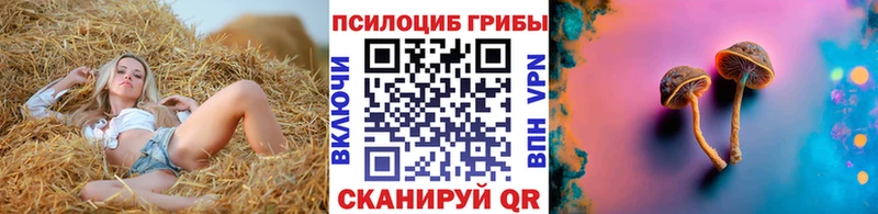 Галлюциногенные грибы GOLDEN TEACHER купить Сунжа